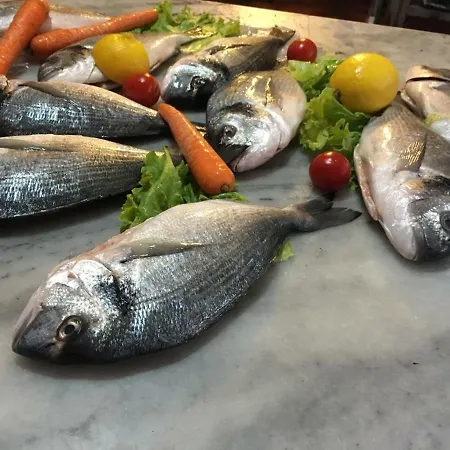 Restaurant Baca Golem (Tirana)
